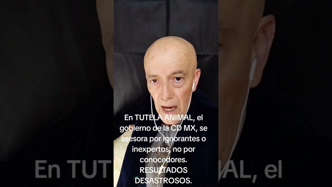 7 de febrero de 2026
