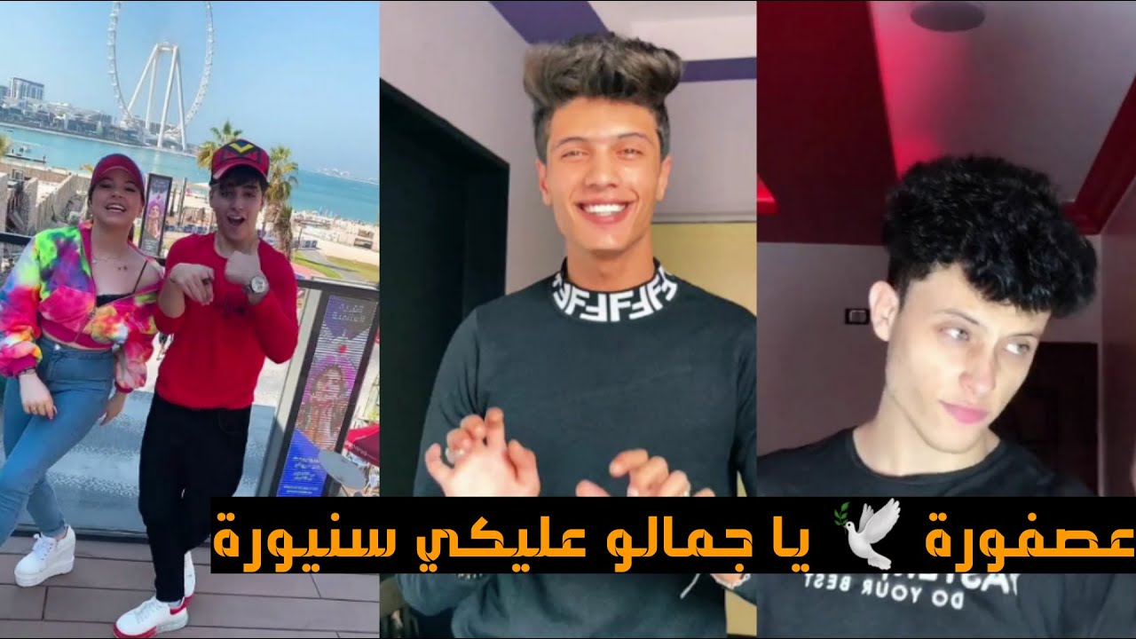احلى تشكيلة مقاطع على تيك توك🤩على اغنية ( عصفورة 🕊 يا جمالو عليكي سنيورة ) jan TikTok