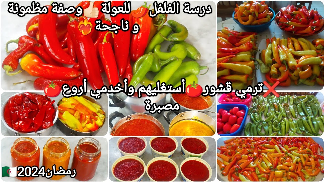 لعشاق🍅🌶️حطي الوصفة في عينيك😁كيفاش تستغلي قشور🍅درسة الفلفل الحار🌶️صلصة الطماطم🍅مع سر اللون