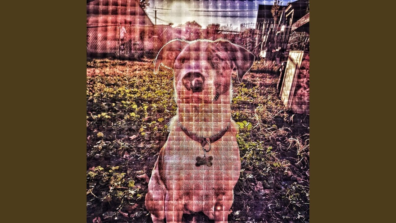 glitchill