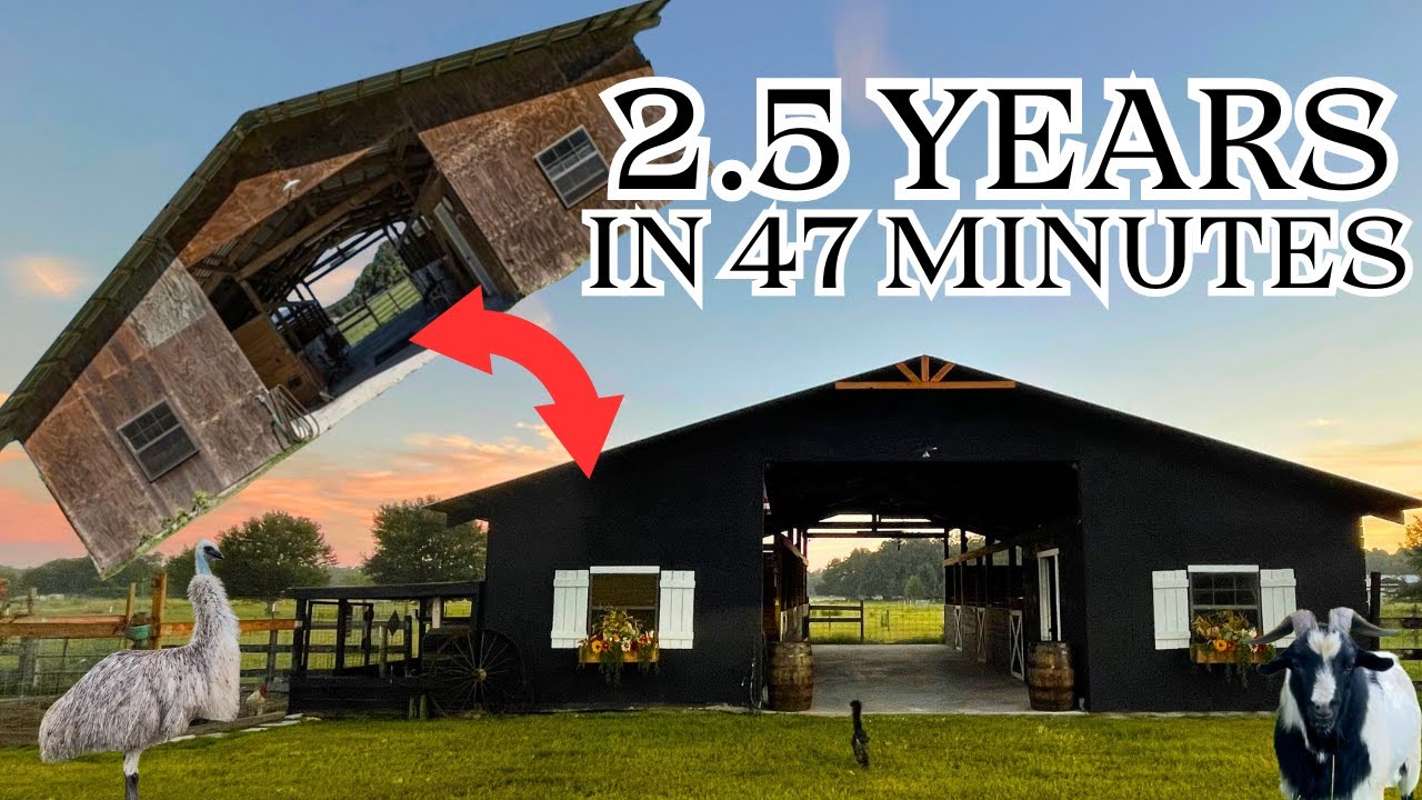 **TIMELAPSE** Couple Turns OVERGROWN Property Into Dream Homestead
