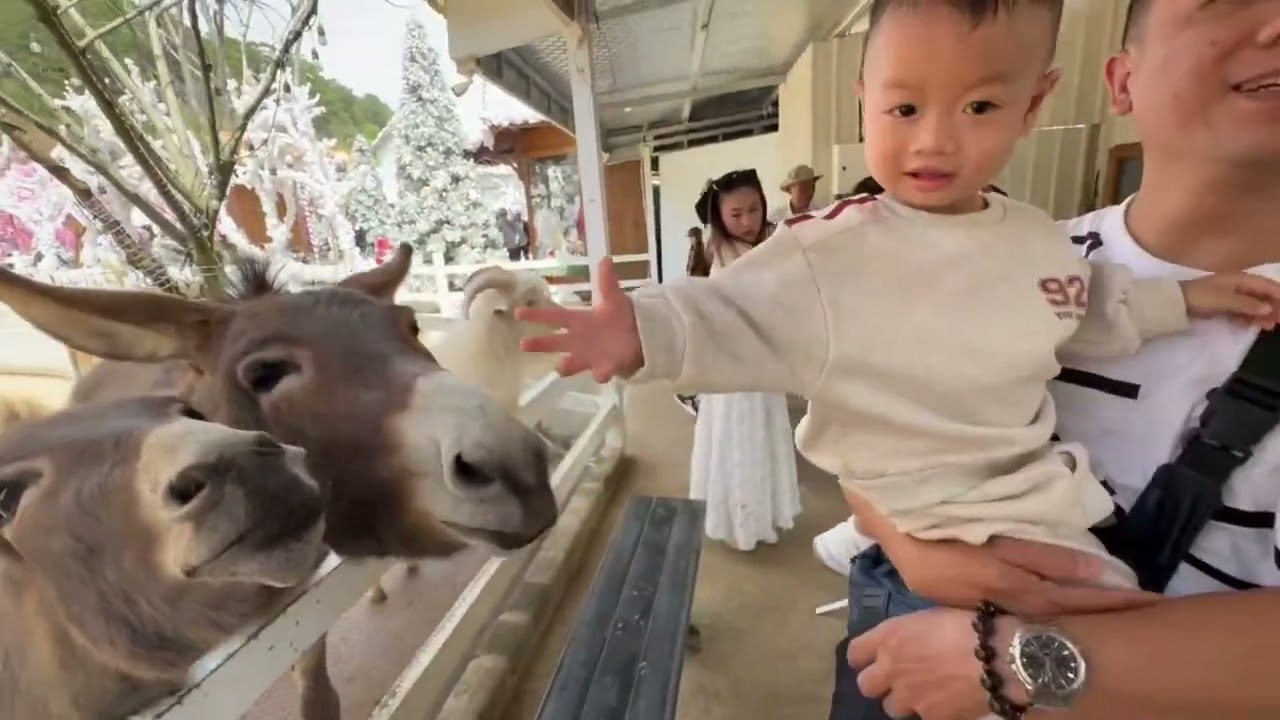 DL Puppy farm Thú lớn 202502