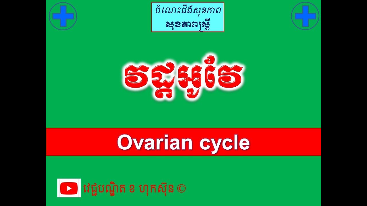 វដ្តអូវែ l Ovarian cycle ll ចំណេះដឹងសុខភាពបន្តពូជ l វេជ្ជបណ្ឌិត ខ ហុកស៊ុន