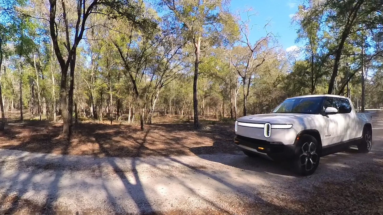 Elroy in the Wild
