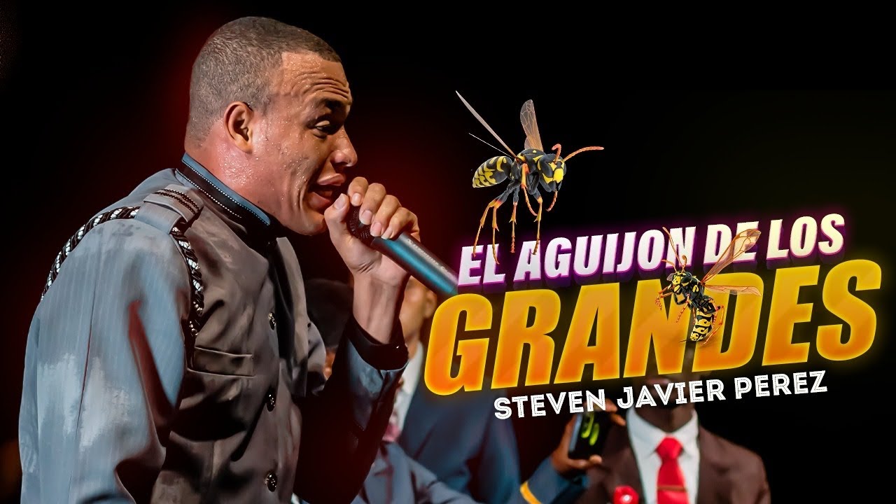 EL AGUIJON DE LOS GRANDES/ STEVEN JAVIER EL ANCIANO