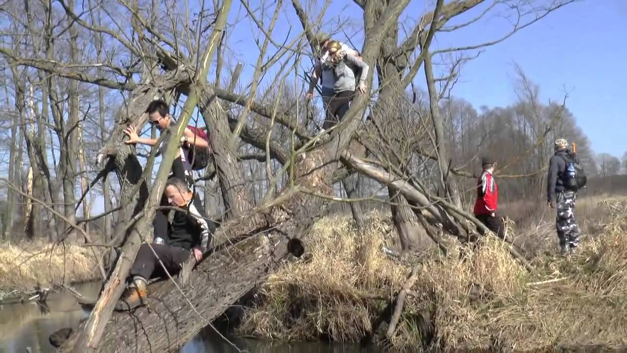 Siedlecki Łaziki - The highlights