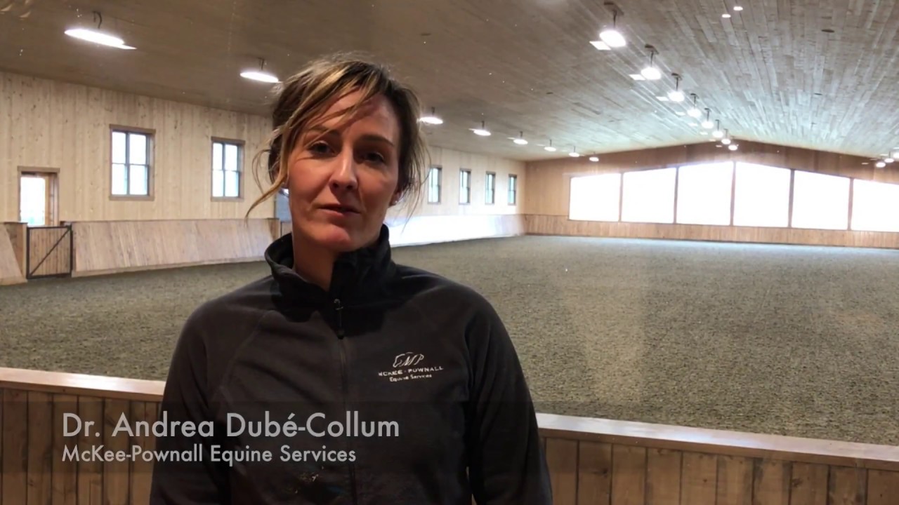 When to Schedule a Breeding Soundness Exam