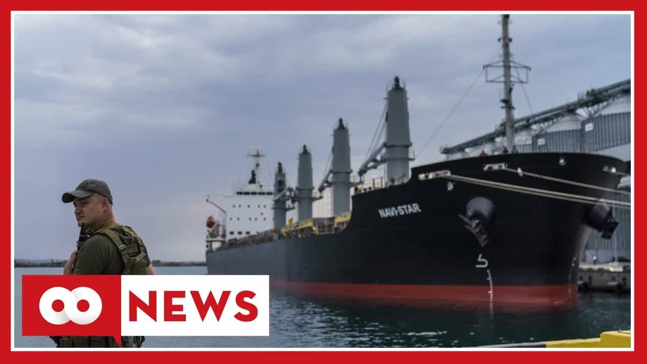 Russia backflips on UN-brokered grain deal over ship attack claim