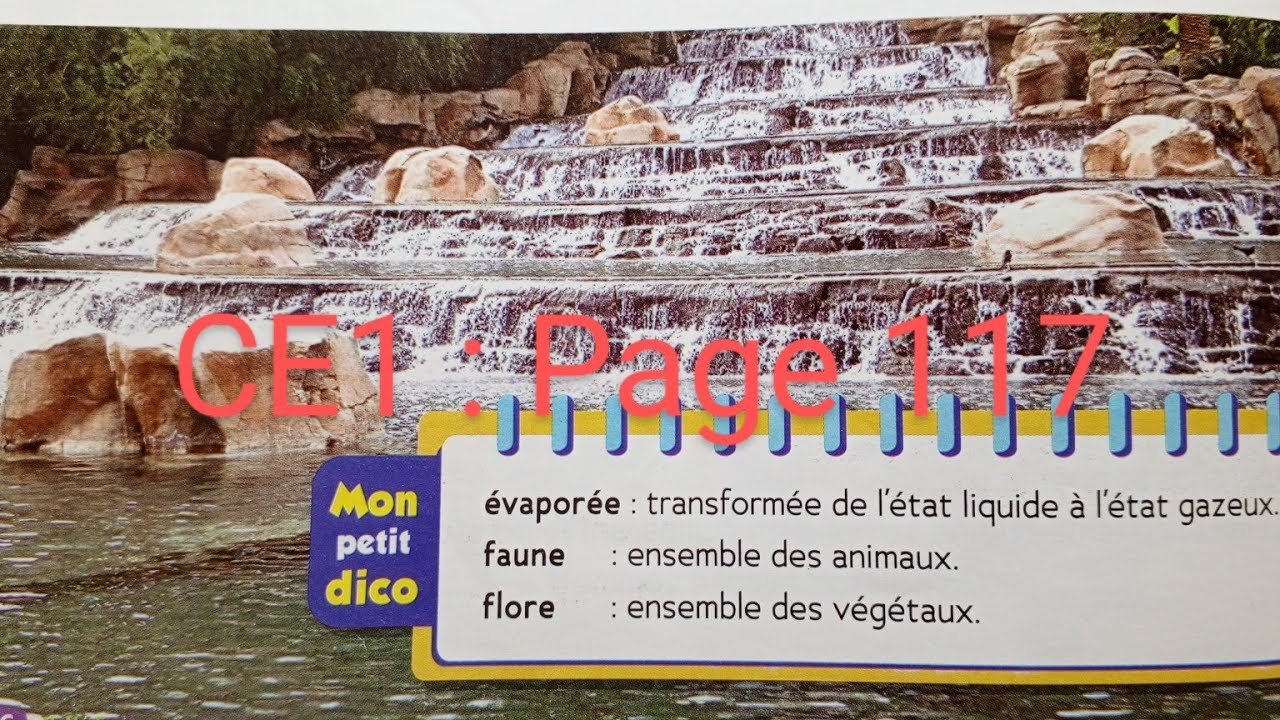 CE1 : Lecture  (suite ) : Je suis la goutte d'eau page 117 . Le trésor des mots
