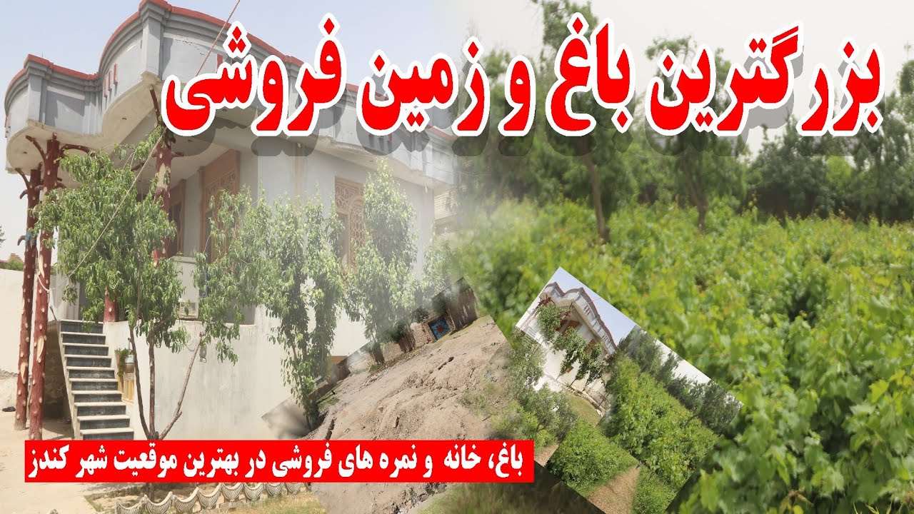 فروش بزرگ‌ترین باغ میوه دار|خانه و نمره های فروشی در قلب کندز|با قیمت کم صاحب باغ، خانه و زمین شوید|
