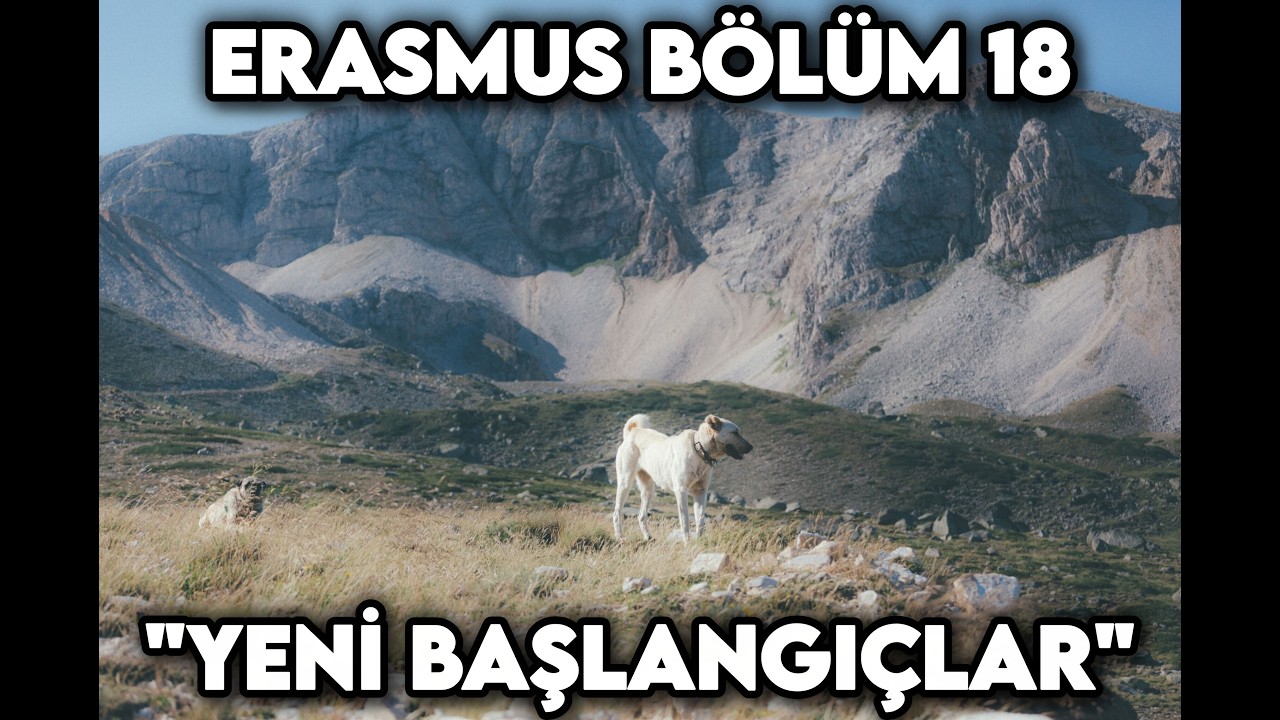 Bruhan Erasmus'ta Bölüm 18 