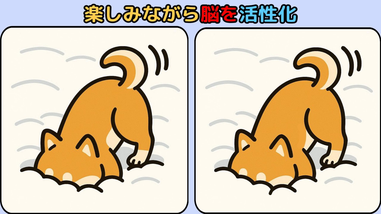 間違い探し : 楽しみながら脳を活性化