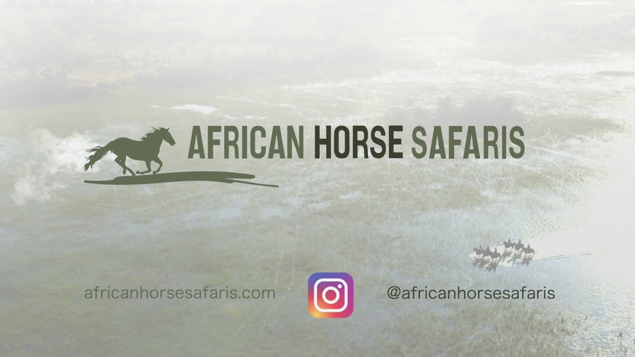 African Horse Safaris - Adventure Awaitis