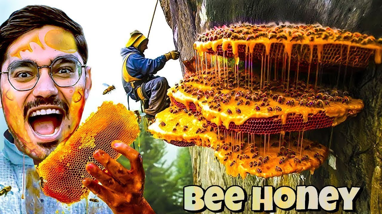 Dangerous Bee Hive Exploration Adventure🥵 Bees attack dangerously Do Not Try