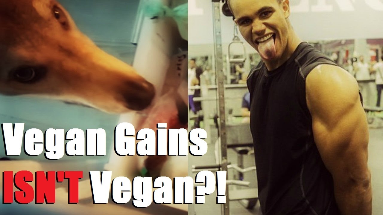 Vegan Gains ISN'T Vegan?! (Vegan Gains Wolfdog Drama!!) | Cory McCarthy