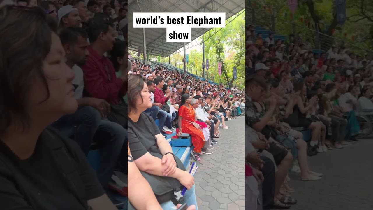 World&rsquo;s Best Elephant Show in Bangkok Thailand #bangkok  #elephant #thailand