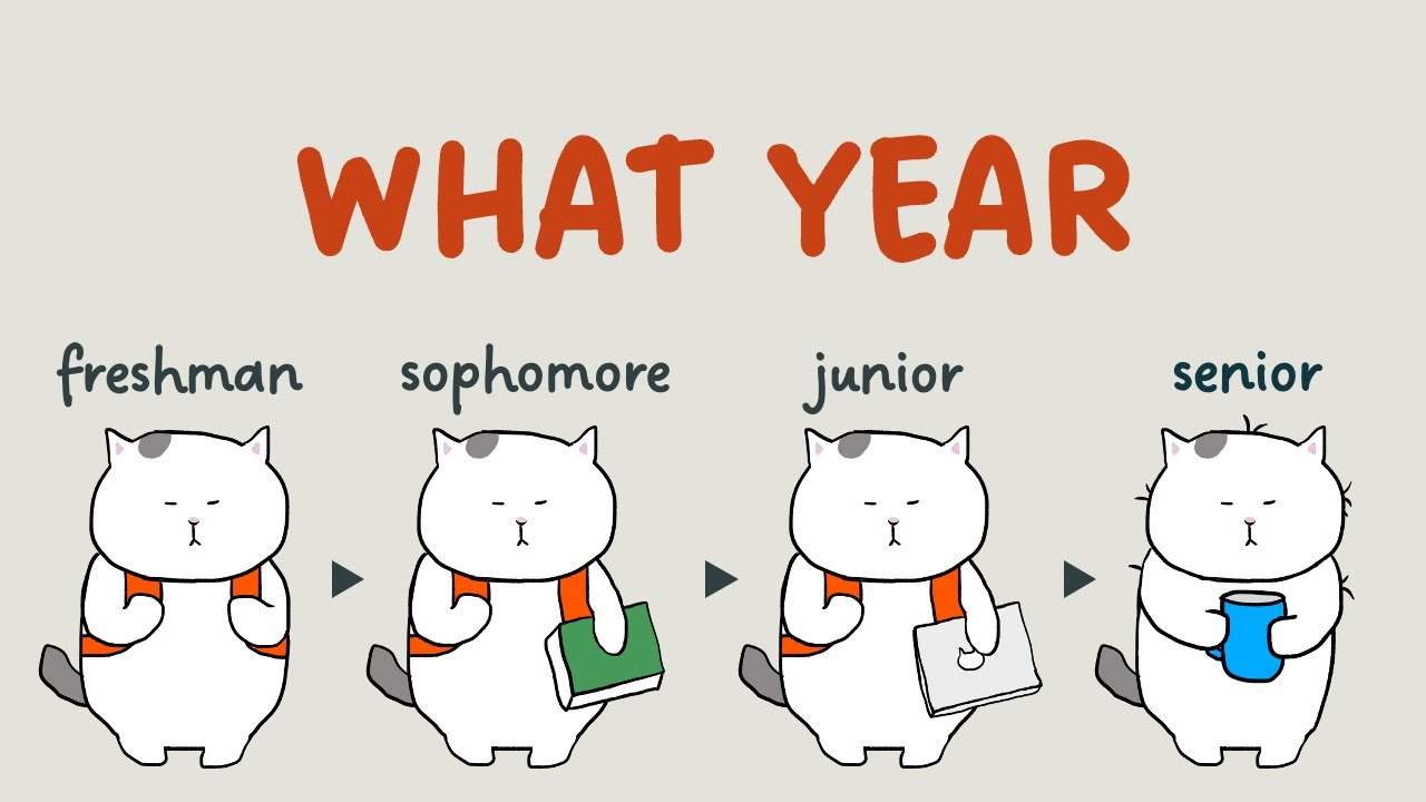 [GENKI Lesson 1] What year are you in school? Freshman? Sophomore? Junior? Senior?