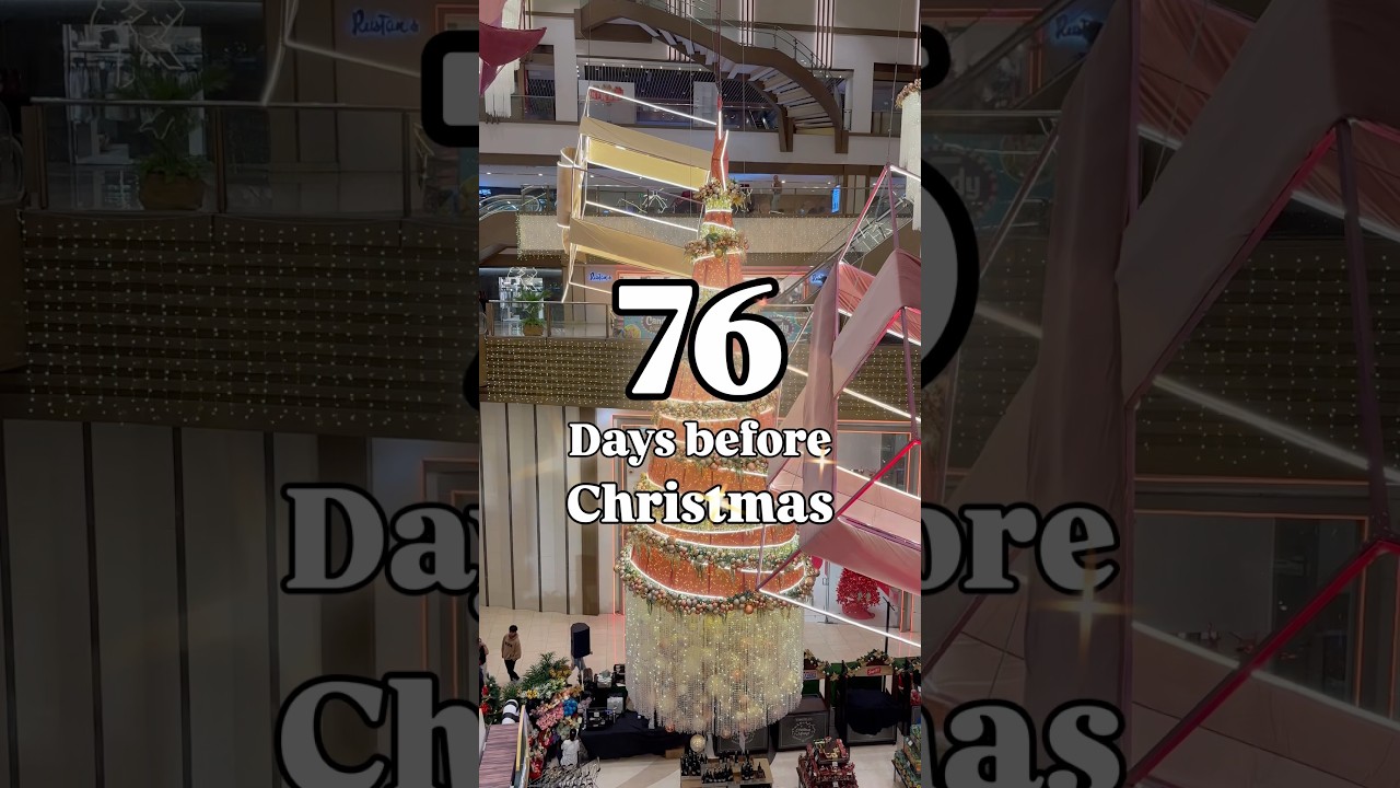 It&rsquo;s 76 Days Before Christmas! 🎄 Countdown to Christmas 2025! #christmas #merrychristmas