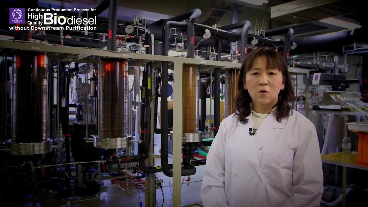 Continuous Production Process for High Quality Biodiesel without Downstream Purification