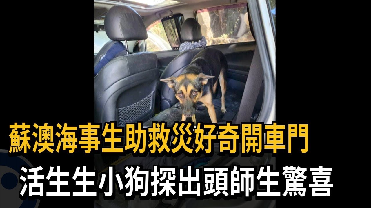 奇蹟！ 蘇澳海事學校師生災區救援 打開泡水車「發現毛孩」－民視新聞