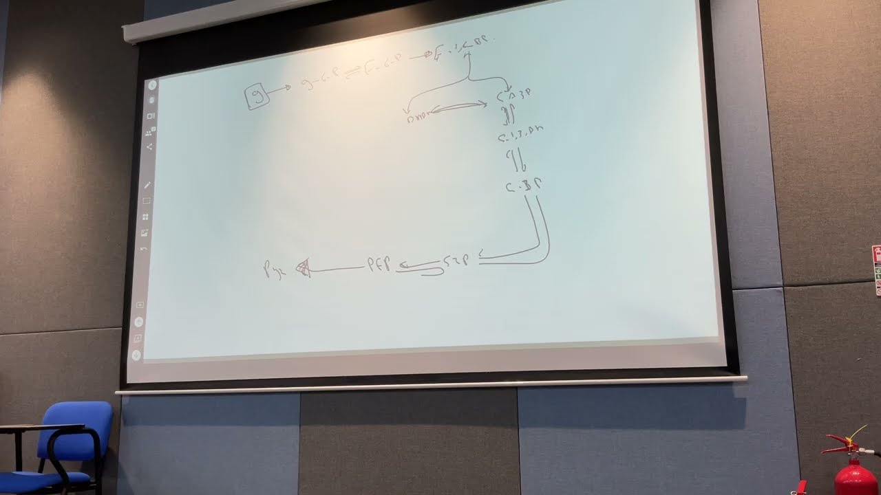 WEEK 2 LEC 1 P3