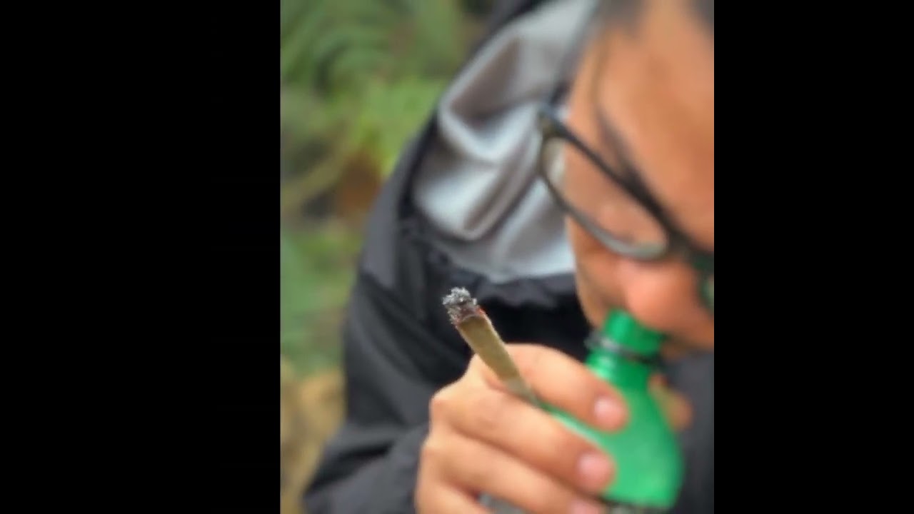 himalayan kush from nepal,sankhuwasavaOG Kush