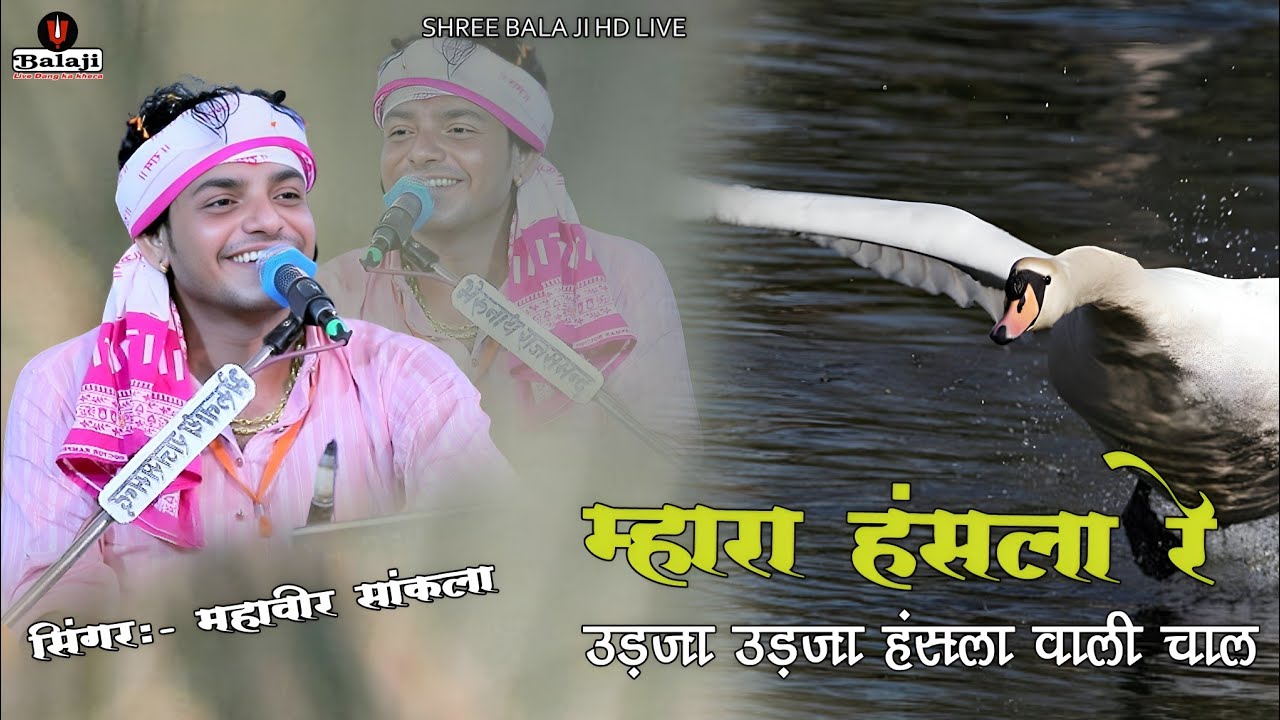 मारा हँसला रे उड़जा उड़जा हँसला वाली चाल !! Mahaveer Sankhla !! Badiya mata ji live #mahaveersankhla 