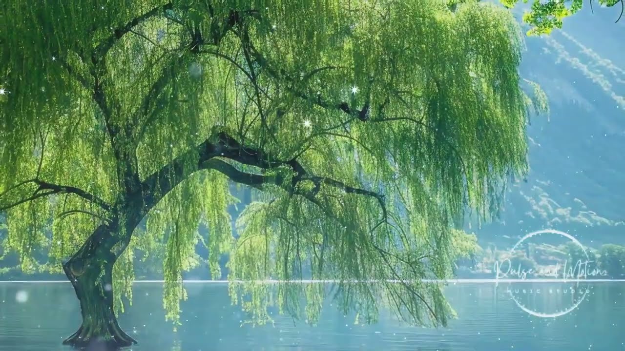 Tranquil Echoes: Relaxing Music for Inner Calm and Focus