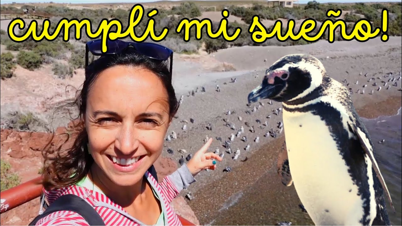 ⚠️NO IMAGINÉ que vivieran aquí 😮 GIGANTE comunidad de PINGÜINOS y GUANACOS en PuntaTombo 🇦🇷T9 - Cap4