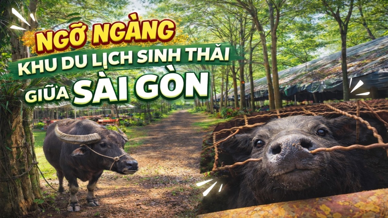 SÀI GÒN - KHU SINH THÁI bị bỏ quên và KIỆT TÁC của thiên nhiên