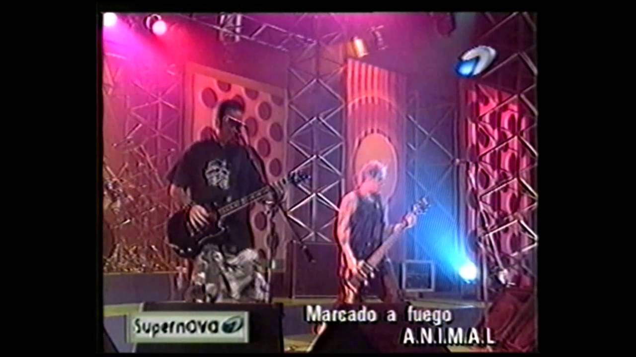 A.N.I.M.A.L. - Canal 7 - 2001