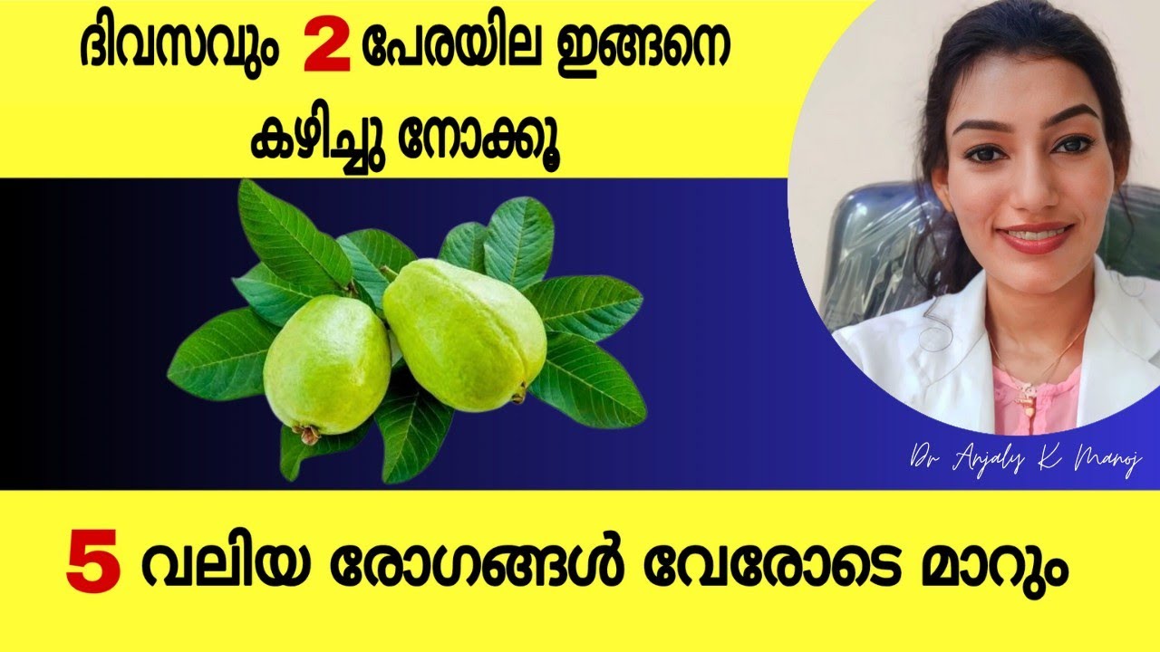 വെറും വയറ്റിൽ പേരിയില കഴിക്കുന്നതിന്റെ 5 ഗുണങ്ങൾ | 5 Health Benefits of Guava leaves |Dr Anjaly K M 