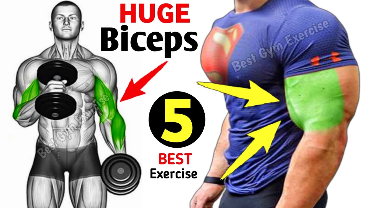 5 Killer Biceps Workout At Gym 💪