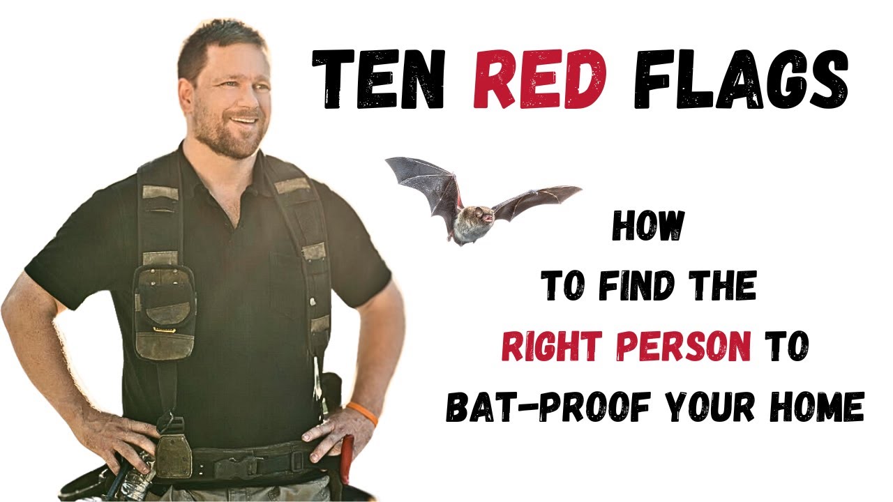 10 Red Flags! Who To Hire When You Have Bats