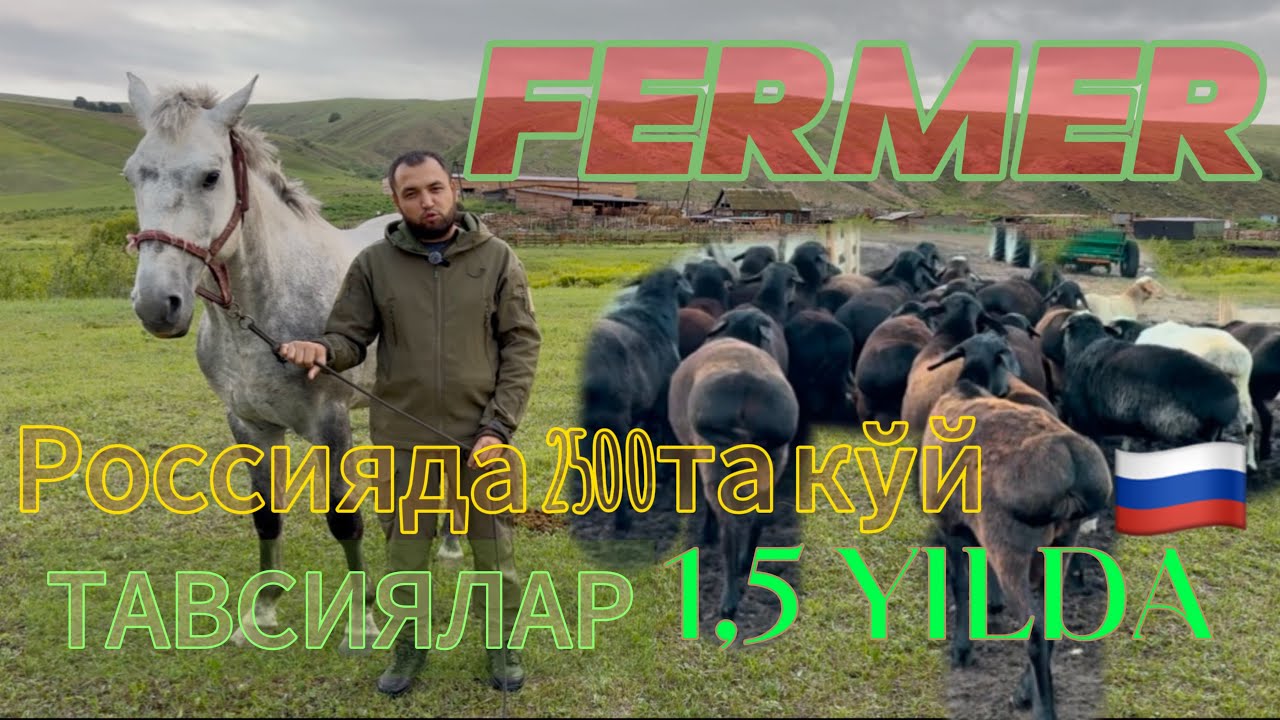“🇷🇺РОССИЯДАН Ферма очиш тўғрими?”