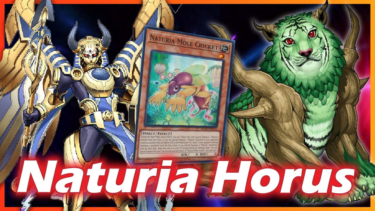 Naturia & Horus Deck vs Meta | Season 42 | June 2025 | Master Duel