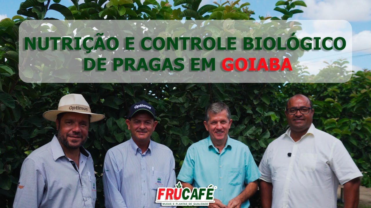 Nutrição e Controle Biológico de Pragas em GOIABA
