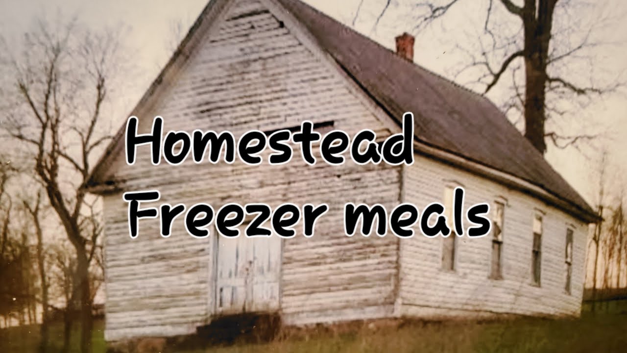 Homestead Freezer Meals, Lasagna,  Salisbury Steak, BIG HELP!