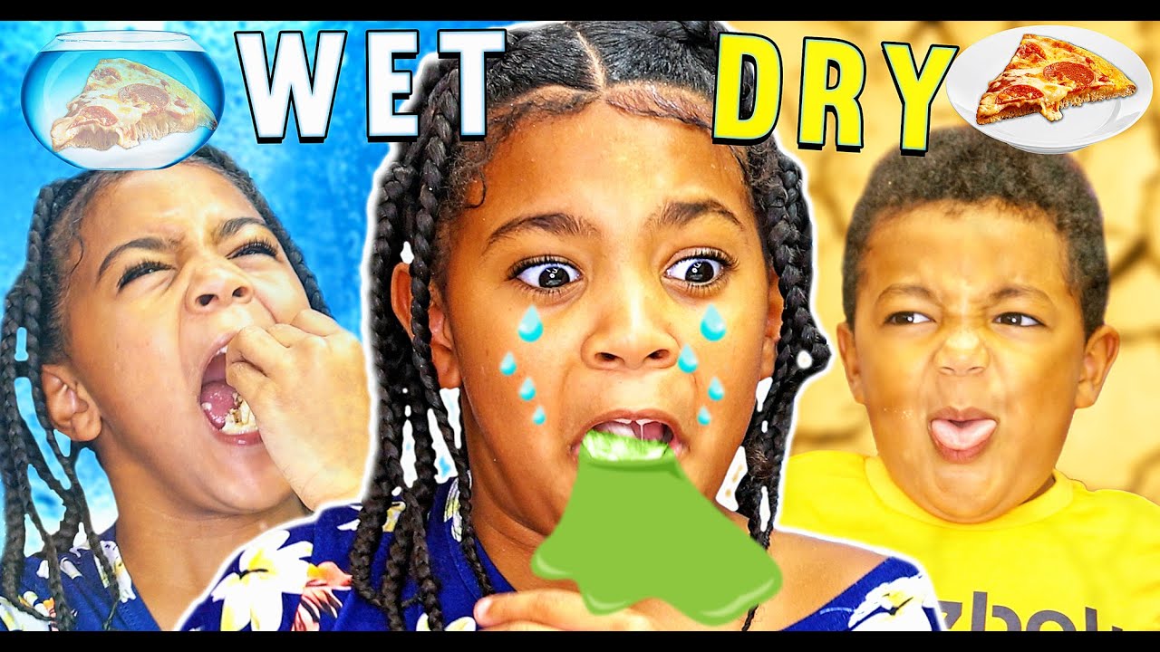 Wet Vs Dry Food Challenge!