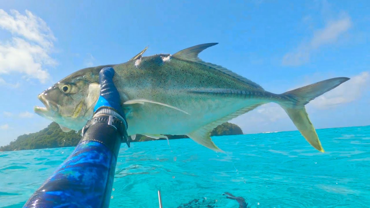 SPEARFISHING SAMOA! Pacific Islands Underwater