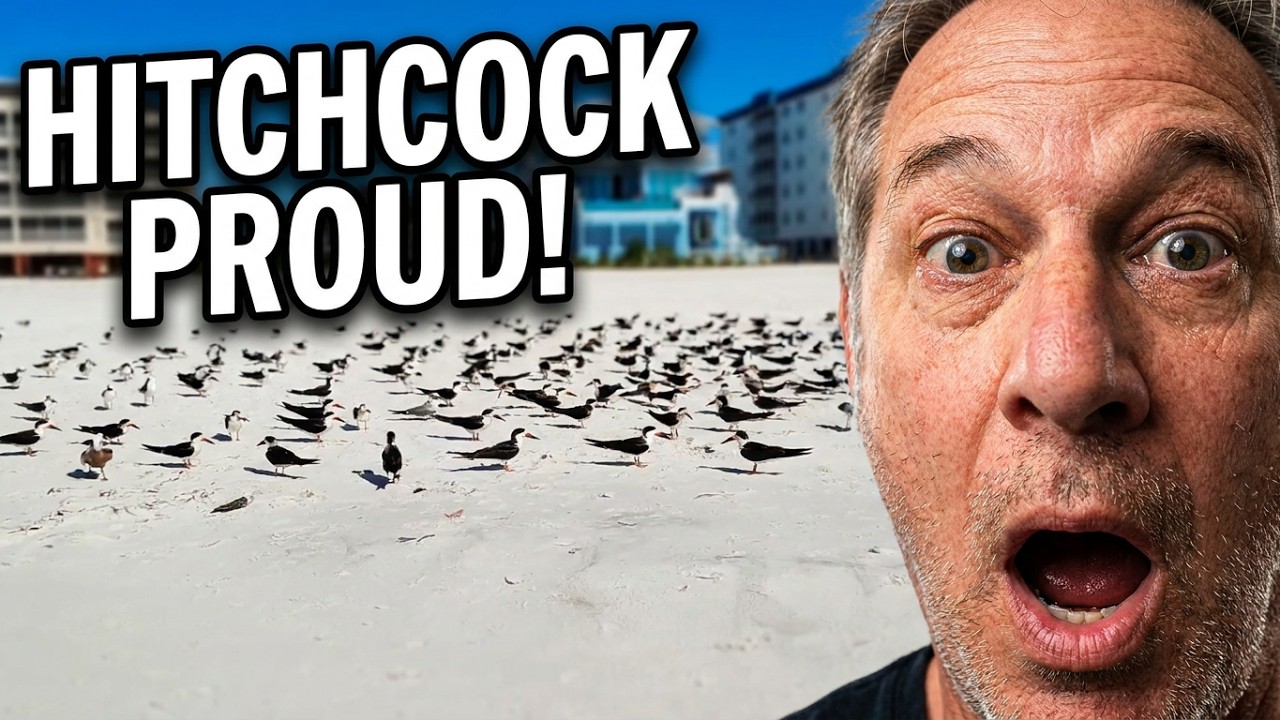 Our Alfred ( A.T.W. ) Hitchcock moment on Ft. Myers Beach!