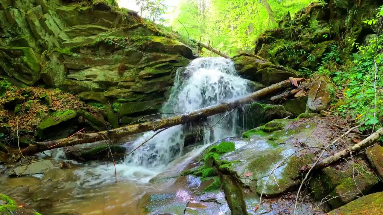 10 Hours of Peaceful River Sounds – Calm Nature ASMR for Sleep 