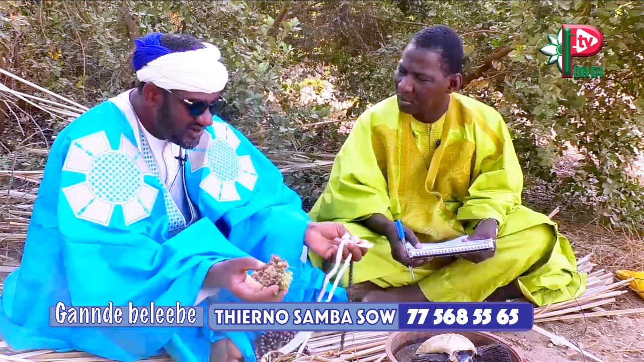 GANNDE BALEEBE THIERNO SAMBA SOW