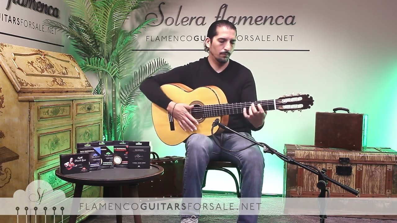 José Morilla Díaz 2023 flamenco guitar for sale played by José Andrés Cortés