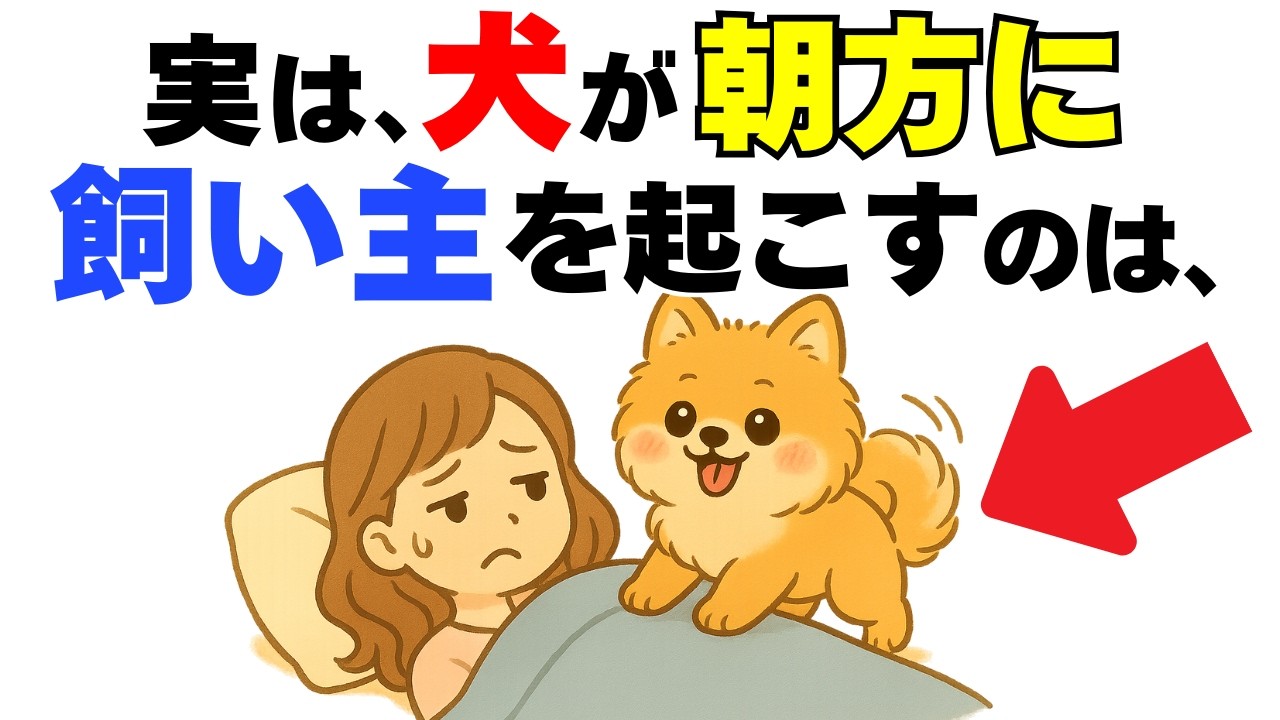 【知らないと後悔!!】犬の行動や仕草からわかる気持ちとは｜犬の厳選雑学