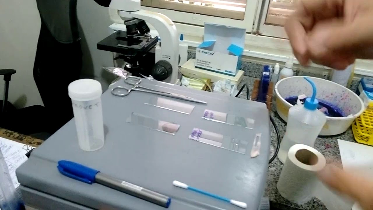 Patologia Veterinária - Parasitológico de Pele - Coleta de Amostra - Animallab