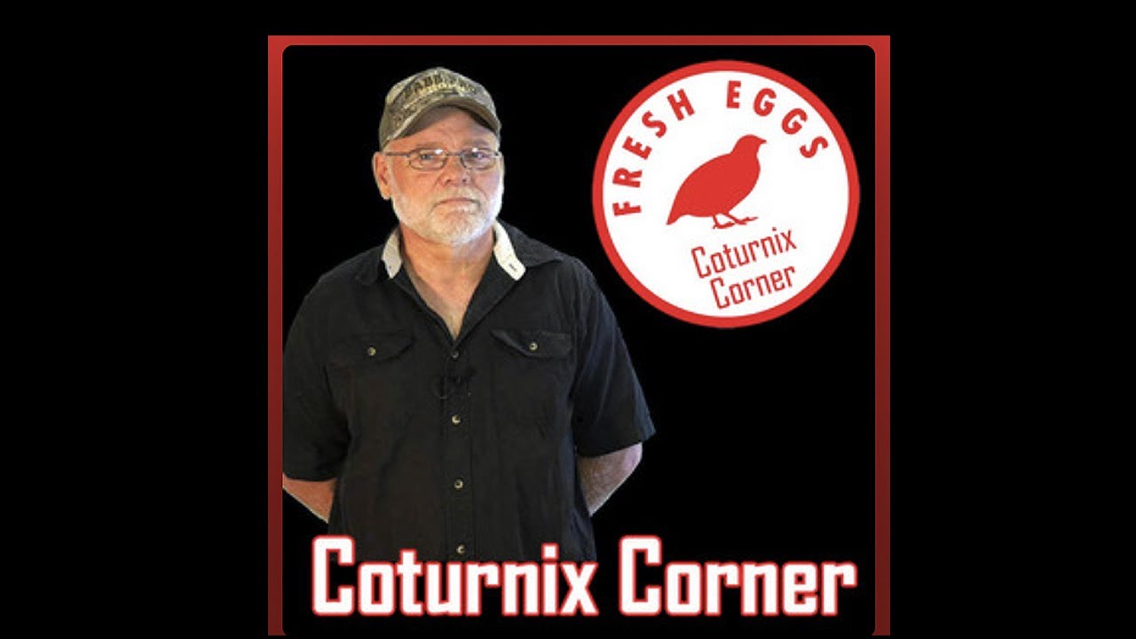 Equipment to Get you Started with Coturnix