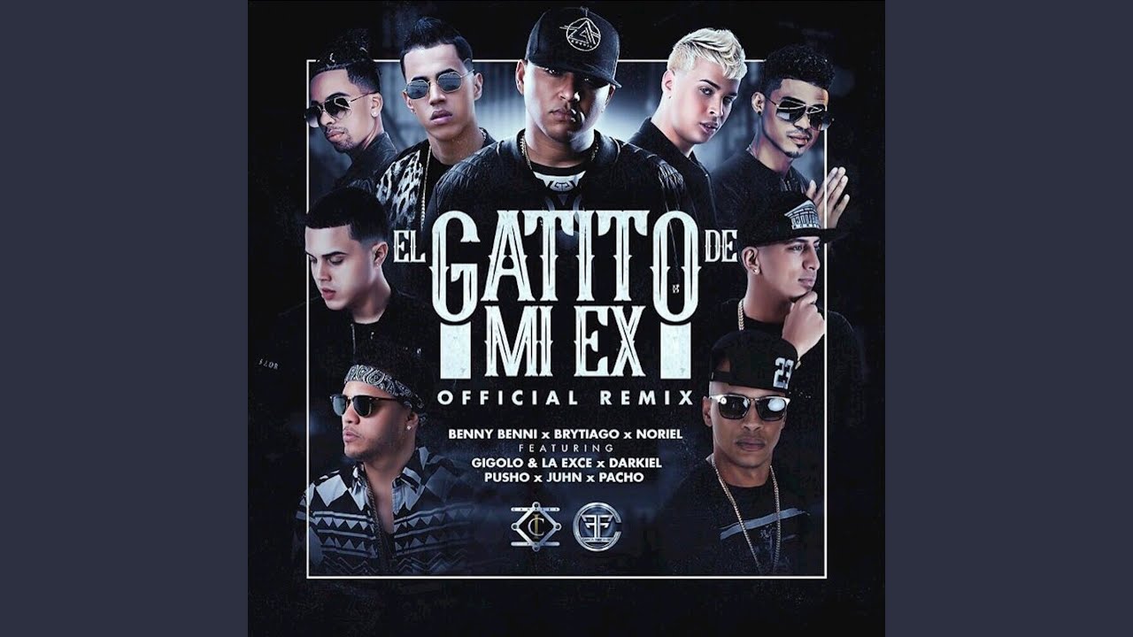 El Gatito de Mi Ex (Remix)