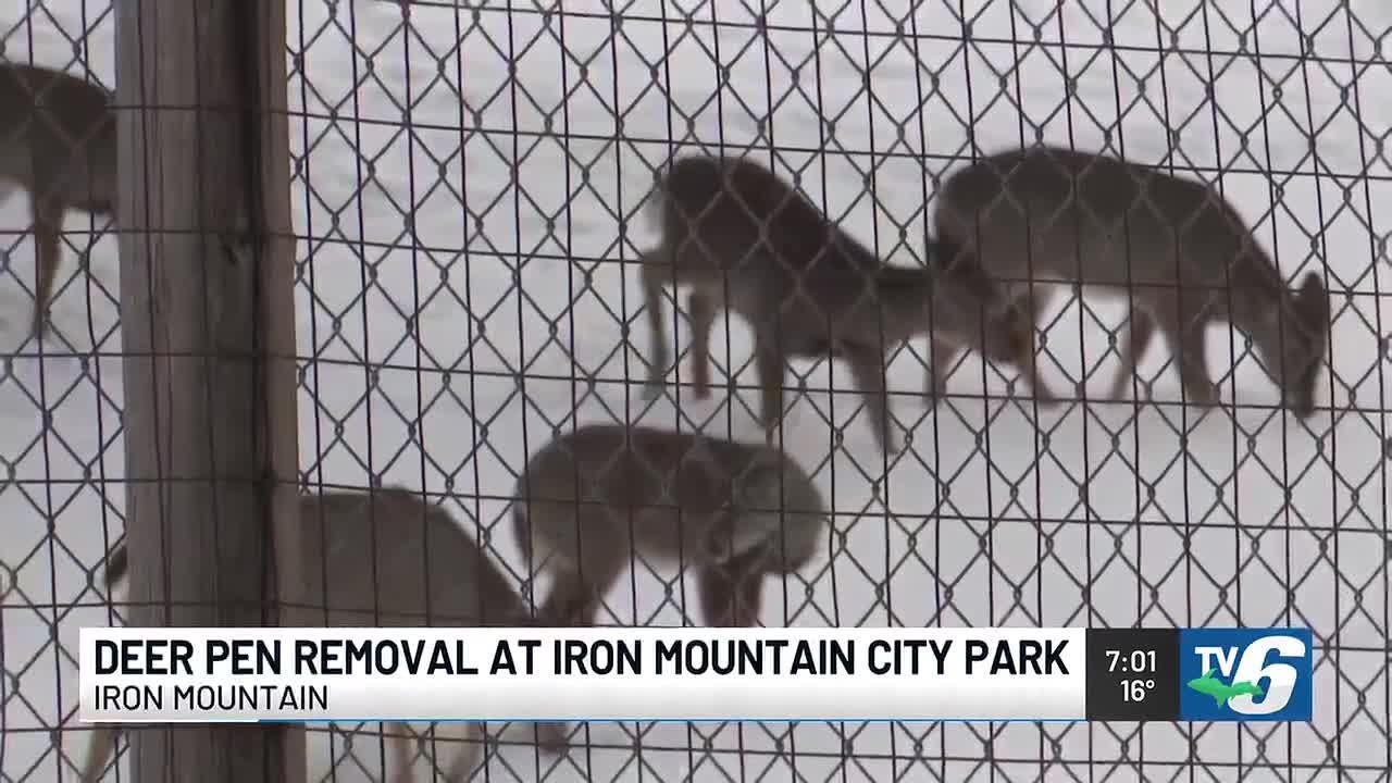 Iron Mountain to remove deer pen from city park
