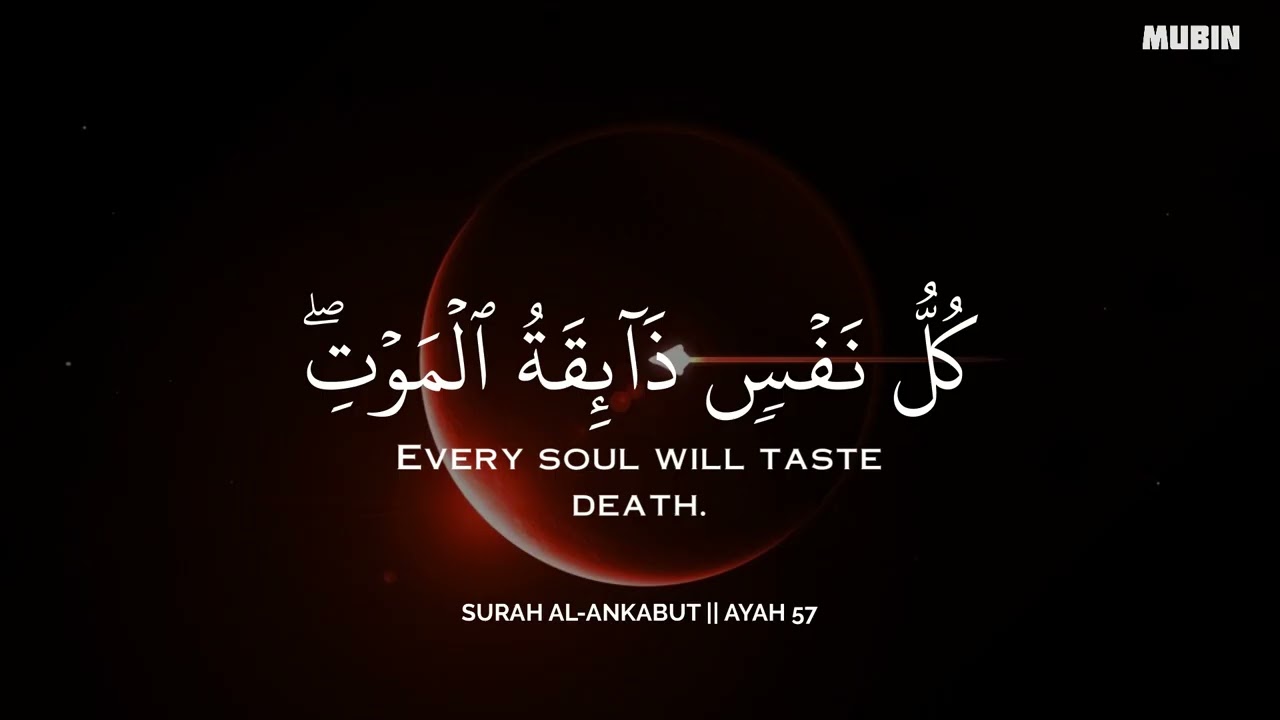 ساعة كاملة🕛🎧 | تلاوة تقشعر لها الأبدان بصوت محمد هشام | Reciter Mohamed Hesham | 💙🎧